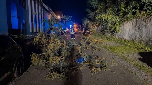 Ein Baum droht auf die Straße zu fallen und wurde durch die Feuerwehr entfernt